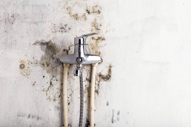 Best HVAC Mold Remediation in Phillipsburg, NJ
